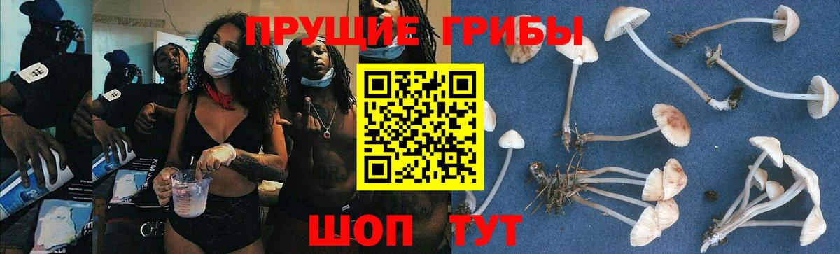 Псилоцибиновые грибы прущие грибы  Ангарск 